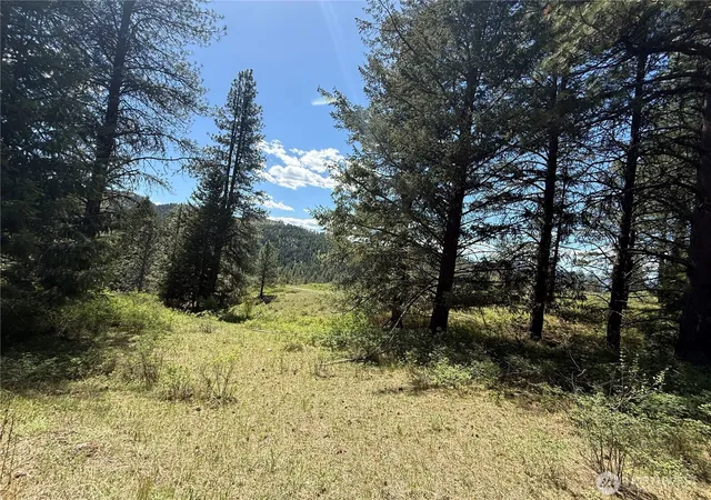 Photo 3 of Land for sale at 0 Tbd Fir Ln, Curlew, WA 99118 | MLS# NWM2517778 | Listing updated on 2026-09-21