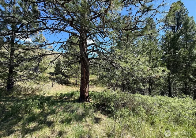 Photo 3 of Land for sale at 0 Tbd Fir Ln, Curlew, WA 99118 | MLS# NWM2517778 | Listing updated on 2026-09-21
