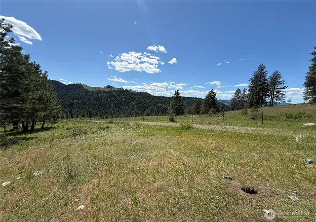 Photo 4 of Land for sale at 0 Tbd Fir Ln, Curlew, WA 99118 | MLS# NWM2517778 | Listing updated on 2026-09-21