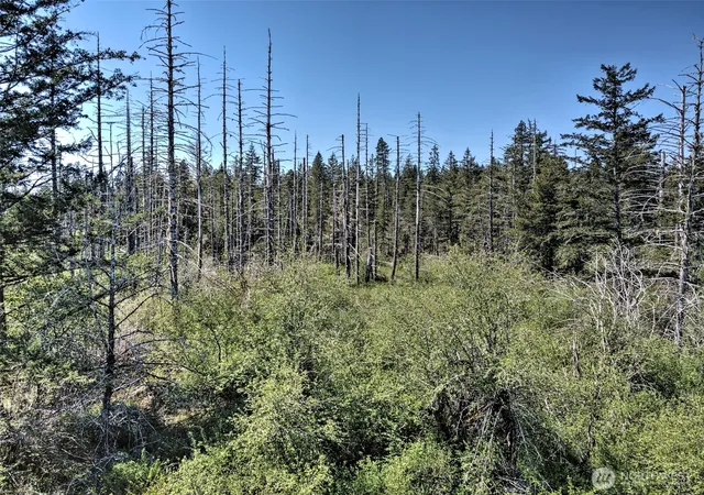 Photo 1 of Land for sale at 1161 Ne Toonerville Dr, Belfair, WA 98528 | MLS# NWM2517822 | Listing updated on 2026-10-02