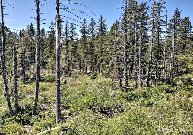 Photo 2 of Land for sale at 1161 Ne Toonerville Dr, Belfair, WA 98528 | MLS# NWM2517822 | Listing updated on 2026-10-02