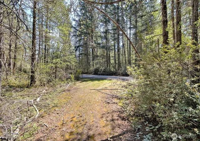 Photo 3 of Land for sale at 1161 Ne Toonerville Dr, Belfair, WA 98528 | MLS# NWM2517822 | Listing updated on 2026-10-02
