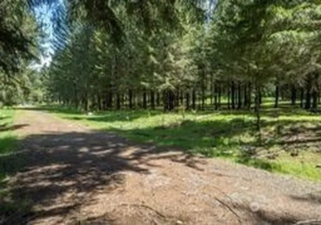 Photo 1 of Land for sale at 191 Sugarpine Rd, Ariel, WA 98603 | MLS# NWM2517849 | Listing updated on 2026-09-21