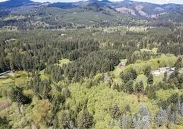 Photo 2 of Land for sale at 191 Sugarpine Rd, Ariel, WA 98603 | MLS# NWM2517849 | Listing updated on 2026-09-21