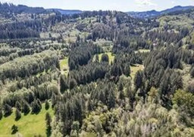Photo 3 of Land for sale at 191 Sugarpine Rd, Ariel, WA 98603 | MLS# NWM2517849 | Listing updated on 2026-09-21
