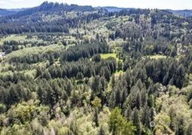 Photo 3 of Land for sale at 191 Sugarpine Rd, Ariel, WA 98603 | MLS# NWM2517849 | Listing updated on 2026-09-21