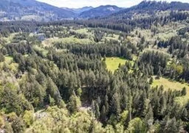 Photo 4 of Land for sale at 191 Sugarpine Rd, Ariel, WA 98603 | MLS# NWM2517849 | Listing updated on 2026-09-21