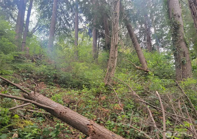 Photo 2 of Land for sale at 1600 Laura St, Aberdeen, WA 98520 | MLS# NWM2517854 | Listing updated on 2026-09-21