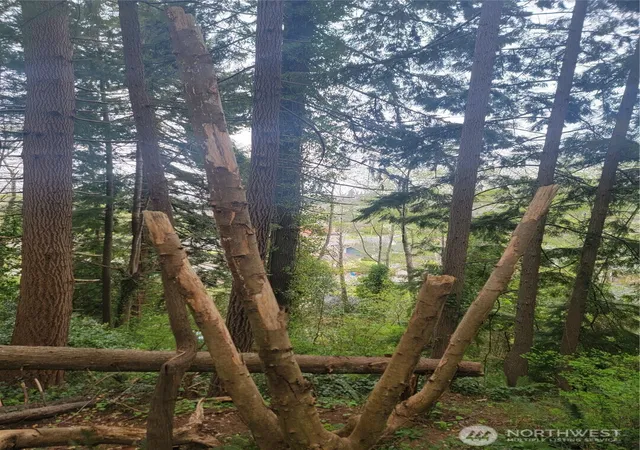 Photo 3 of Land for sale at 1600 Laura St, Aberdeen, WA 98520 | MLS# NWM2517854 | Listing updated on 2026-09-21
