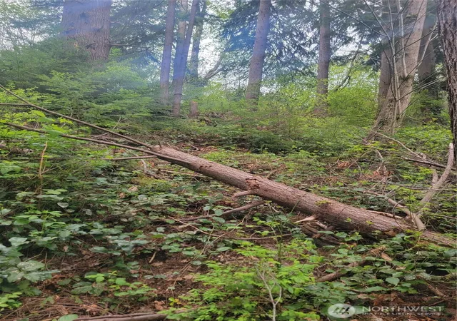 Photo 3 of Land for sale at 1600 Laura St, Aberdeen, WA 98520 | MLS# NWM2517854 | Listing updated on 2026-09-21