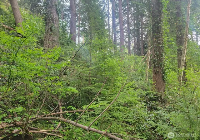 Photo 4 of Land for sale at 1600 Laura St, Aberdeen, WA 98520 | MLS# NWM2517854 | Listing updated on 2026-09-21