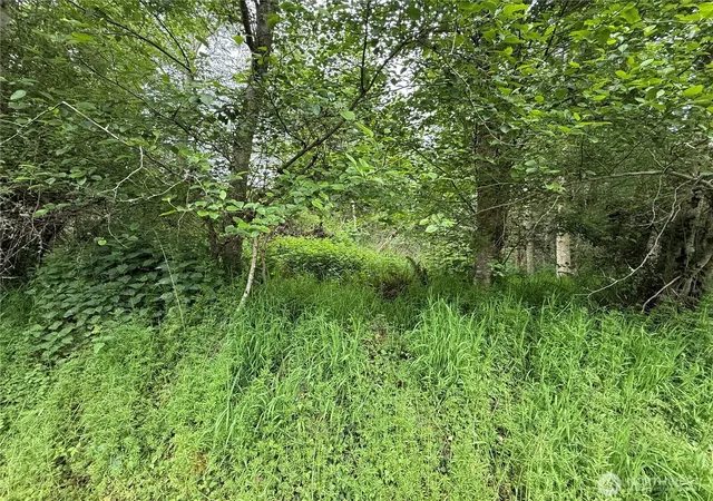 Photo 2 of Sale Pending at 0 Xxx Seacrest Ln, Coupeville, WA 98239 | MLS# NWM2518052 | Listing updated on 2026-06-17