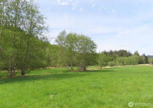 Photo 1 of Land for sale at 0 Xxx Hagen Rd, Mossyrock, WA 98564 | MLS# NWM2518251 | Listing updated on 2026-10-02