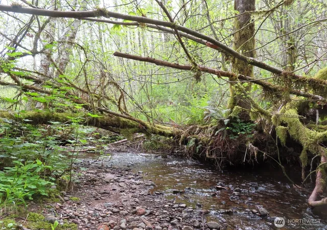 Photo 2 of Land for sale at 0 Xxx Hagen Rd, Mossyrock, WA 98564 | MLS# NWM2518251 | Listing updated on 2026-10-02