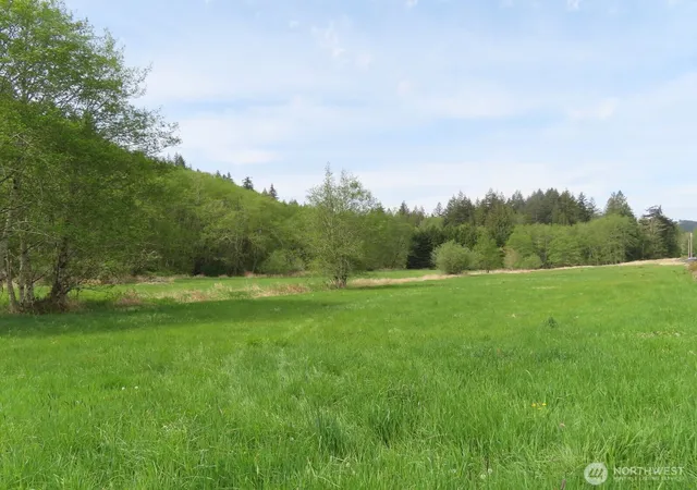 Photo 3 of Land for sale at 0 Xxx Hagen Rd, Mossyrock, WA 98564 | MLS# NWM2518251 | Listing updated on 2026-10-02