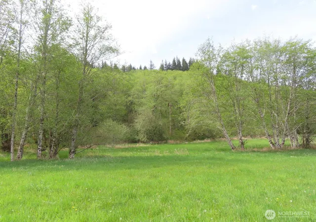 Photo 3 of Land for sale at 0 Xxx Hagen Rd, Mossyrock, WA 98564 | MLS# NWM2518251 | Listing updated on 2026-10-02