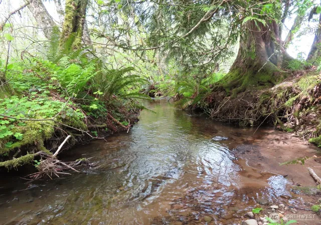 Photo 4 of Land for sale at 0 Xxx Hagen Rd, Mossyrock, WA 98564 | MLS# NWM2518251 | Listing updated on 2026-10-02