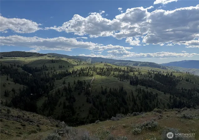 Photo 1 of Land for sale at 0 Tyee View Loop, Waterville, WA 98858 | MLS# NWM2518258 | Listing updated on 2026-09-21