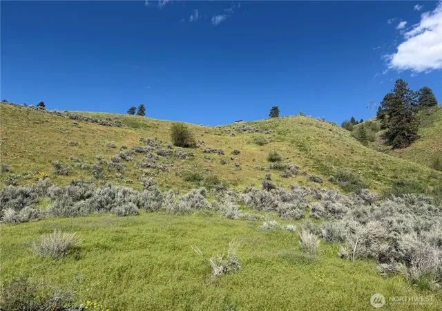 Photo 2 of Land for sale at 0 Tyee View Loop, Waterville, WA 98858 | MLS# NWM2518258 | Listing updated on 2026-09-21
