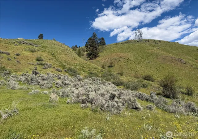 Photo 3 of Land for sale at 0 Tyee View Loop, Waterville, WA 98858 | MLS# NWM2518258 | Listing updated on 2026-09-21