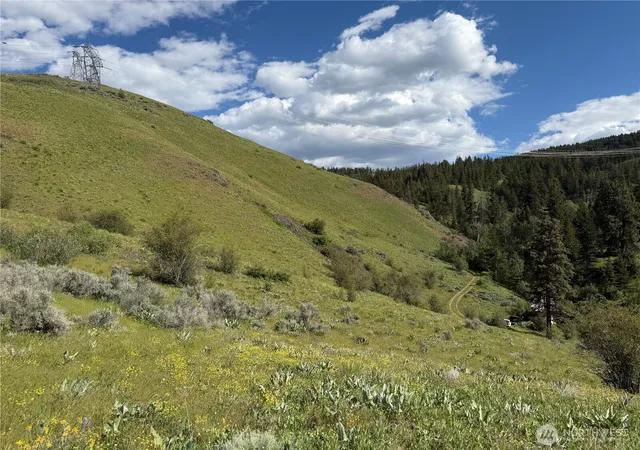 Photo 3 of Land for sale at 0 Tyee View Loop, Waterville, WA 98858 | MLS# NWM2518258 | Listing updated on 2026-09-21