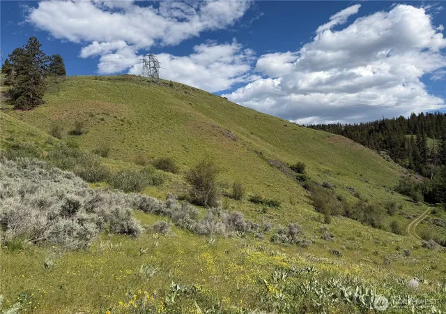 Photo 4 of Land for sale at 0 Tyee View Loop, Waterville, WA 98858 | MLS# NWM2518258 | Listing updated on 2026-09-21