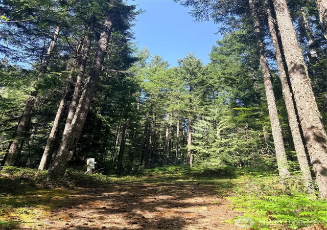 Photo 1 of Land for sale at 30 N Skokomish Dr, Hoodsport, WA 98548 | MLS# NWM2518351 | Listing updated on 2026-09-21