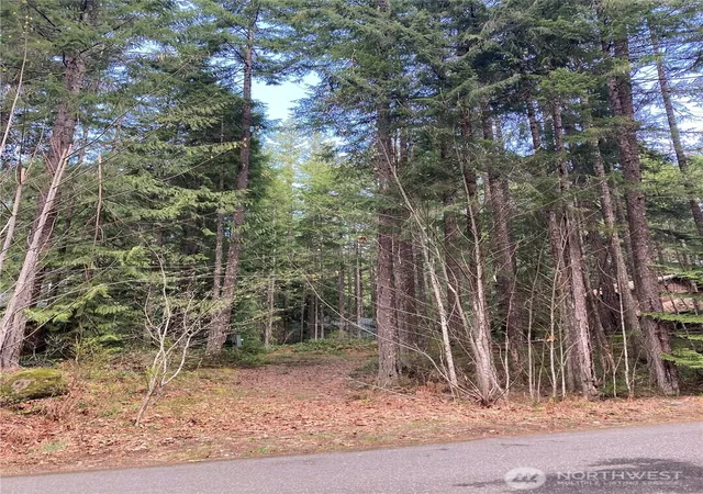 Photo 2 of Land for sale at 30 N Skokomish Dr, Hoodsport, WA 98548 | MLS# NWM2518351 | Listing updated on 2026-09-21