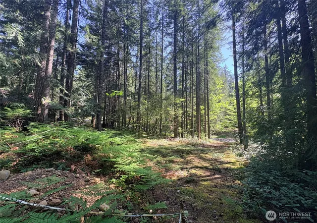 Photo 3 of Land for sale at 30 N Skokomish Dr, Hoodsport, WA 98548 | MLS# NWM2518351 | Listing updated on 2026-09-21