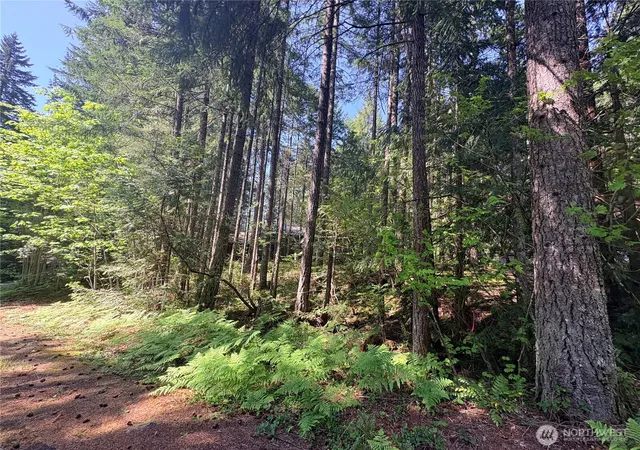 Photo 3 of Land for sale at 30 N Skokomish Dr, Hoodsport, WA 98548 | MLS# NWM2518351 | Listing updated on 2026-09-21