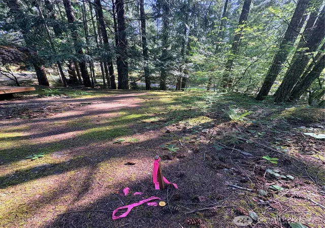 Photo 4 of Land for sale at 30 N Skokomish Dr, Hoodsport, WA 98548 | MLS# NWM2518351 | Listing updated on 2026-09-21
