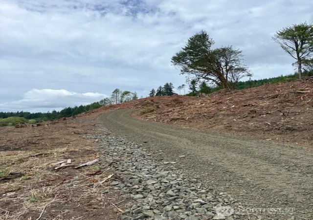 Photo 2 of Land for sale at 0 Garrard Crk Rd, Oakville, WA 98568 | MLS# NWM2518505 | Listing updated on 2026-09-21