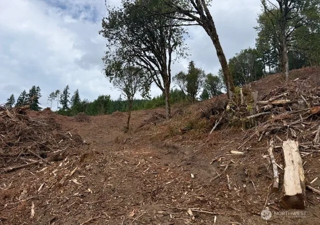 Photo 3 of Land for sale at 0 Garrard Crk Rd, Oakville, WA 98568 | MLS# NWM2518505 | Listing updated on 2026-09-21