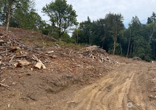 Photo 4 of Land for sale at 0 Garrard Crk Rd, Oakville, WA 98568 | MLS# NWM2518505 | Listing updated on 2026-09-21
