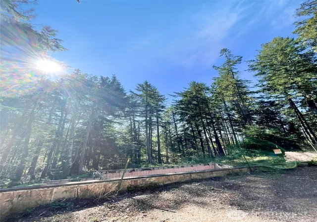 Photo 1 of Land for sale at 111 N Colony Surf Dr, Lilliwaup, WA 98555 | MLS# NWM2518524 | Listing updated on 2026-09-21