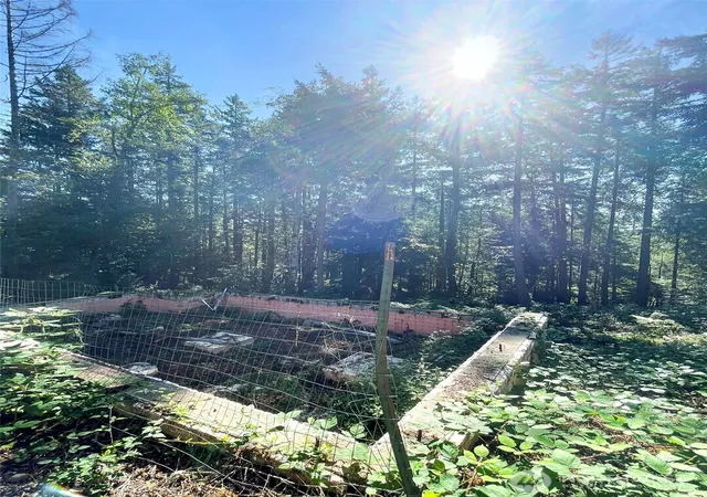 Photo 2 of Land for sale at 111 N Colony Surf Dr, Lilliwaup, WA 98555 | MLS# NWM2518524 | Listing updated on 2026-09-21