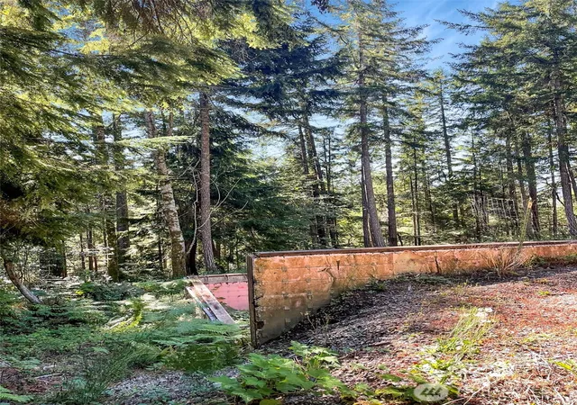 Photo 3 of Land for sale at 111 N Colony Surf Dr, Lilliwaup, WA 98555 | MLS# NWM2518524 | Listing updated on 2026-09-21