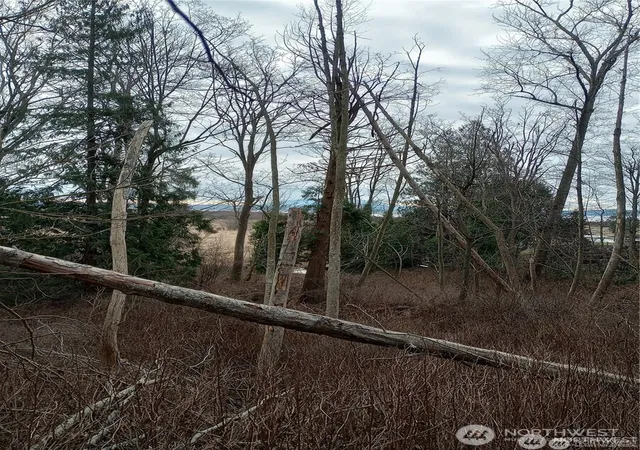 Photo 2 of Land for sale at 0 Red River Rd, Ferndale, WA 98248 | MLS# NWM2518778 | Listing updated on 2026-10-01