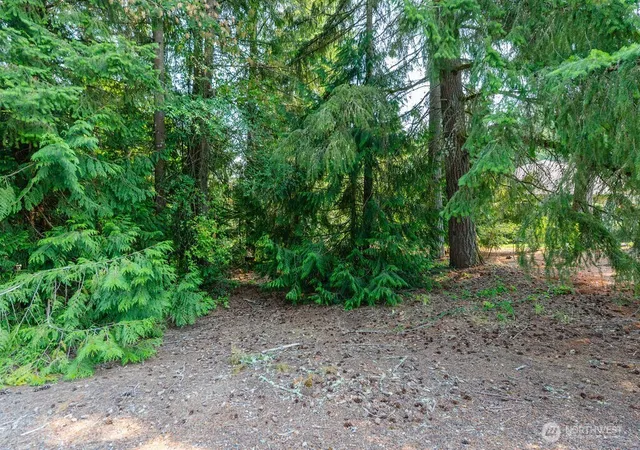 Photo 3 of Land for sale at 110 Rainier Ct, Chehalis, WA 98532 | MLS# NWM2518799 | Listing updated on 2026-09-21