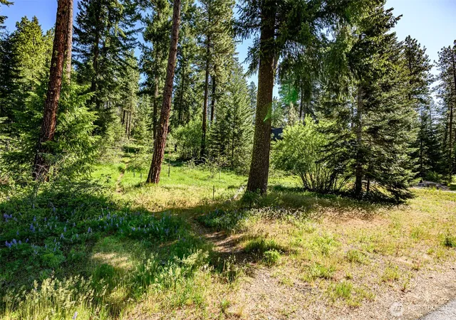 Photo 1 of Land for sale at 1980 Coal Mine Way, Cle Elum, WA 98922 | MLS# NWM2518852 | Listing updated on 2026-09-21