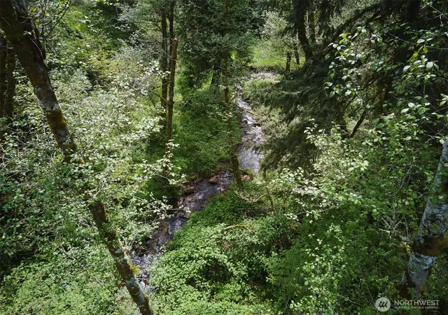 Photo 2 of Land for sale at 140 Skinner Rd, Woodland, WA 98674 | MLS# NWM2518912 | Listing updated on 2026-09-21
