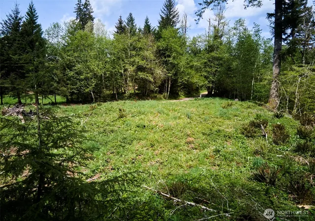 Photo 3 of Land for sale at 140 Skinner Rd, Woodland, WA 98674 | MLS# NWM2518912 | Listing updated on 2026-09-21