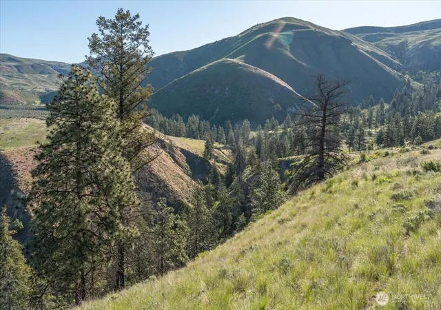 Photo 4 of Land for sale at 25 Chelan Hills Acres Rd, Orondo, WA 98843 | MLS# NWM2518947 | Listing updated on 2026-09-23