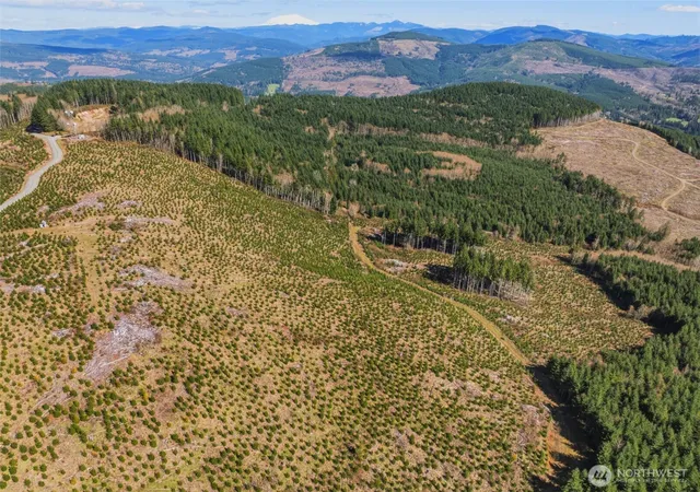 Photo 3 of Land for sale at 0 Lot 4 Hamilton Hts Rd, Kelso, WA 98626 | MLS# NWM2519061 | Listing updated on 2026-09-22