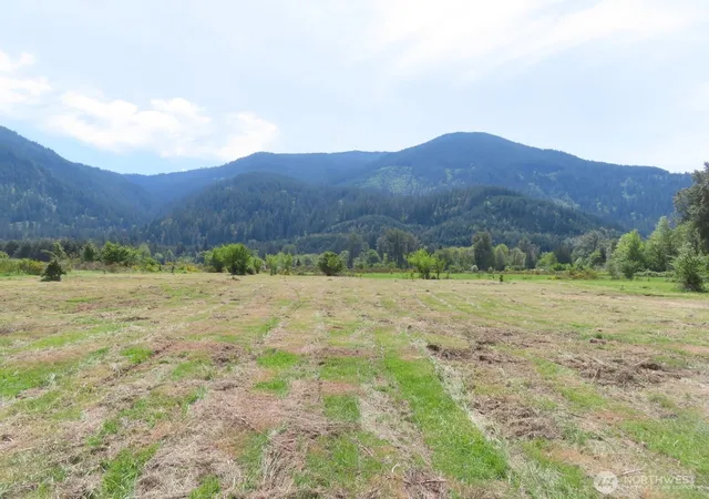 Photo 1 of Land for sale at 295 River Ranch Rd, Randle, WA 98377 | MLS# NWM2519148 | Listing updated on 2026-09-21