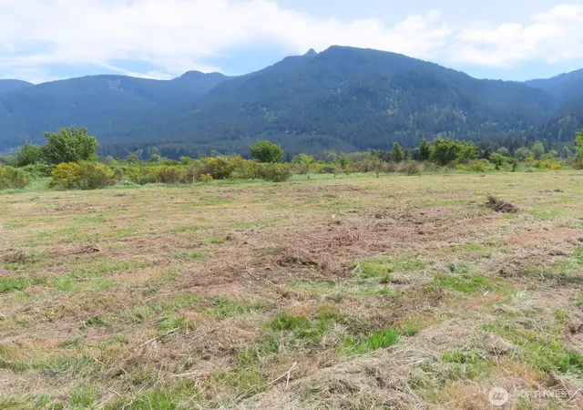 Photo 4 of Land for sale at 295 River Ranch Rd, Randle, WA 98377 | MLS# NWM2519148 | Listing updated on 2026-09-21