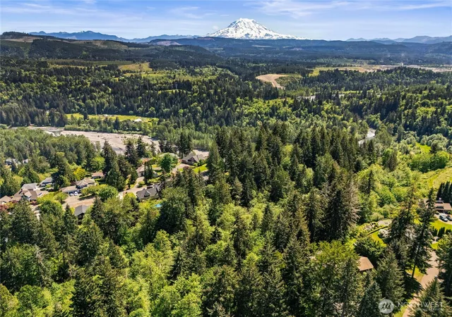Photo 3 of Land for sale at 16217 232nd Street Ct E, Graham, WA 98338 | MLS# NWM2519493 | Listing updated on 2026-09-21