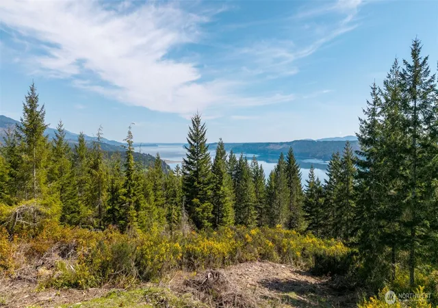 Photo 1 of Land for sale at 778899 N Hamma Ridge Dr, Lilliwaup, WA 98555 | MLS# NWM2519498 | Listing updated on 2026-09-21