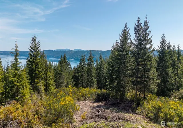Photo 2 of Land for sale at 778899 N Hamma Ridge Dr, Lilliwaup, WA 98555 | MLS# NWM2519498 | Listing updated on 2026-09-21