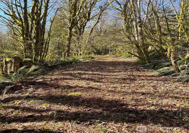 Photo 1 of Land for sale at (Undisclosed), Arlington, WA 98223 | MLS# NWM2519623 | Listing updated on 2026-09-21
